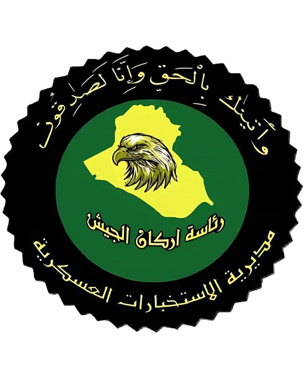 الاستخبارات العسكرية تستهدف وكراً لداعش في نينوى - فيديو